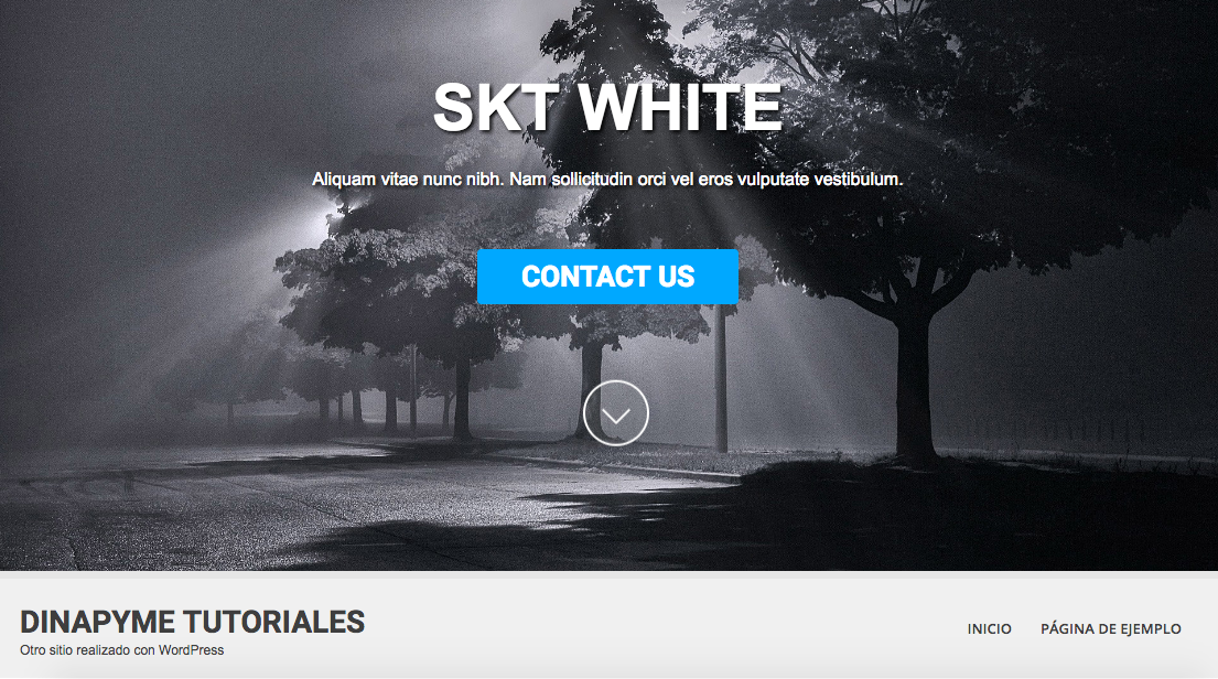 Temas Gratuitos WordPress - SKT White - dinapyme