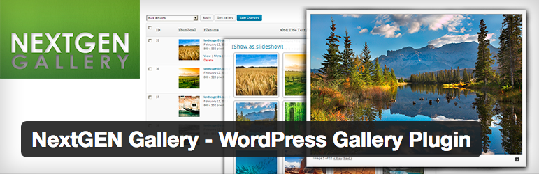 nextgen-gallery-plugin-wordpress-para-crear-galerias-de-imagenes
